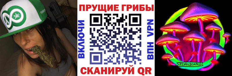 Галлюциногенные грибы MAGIC MUSHROOMS Балабаново